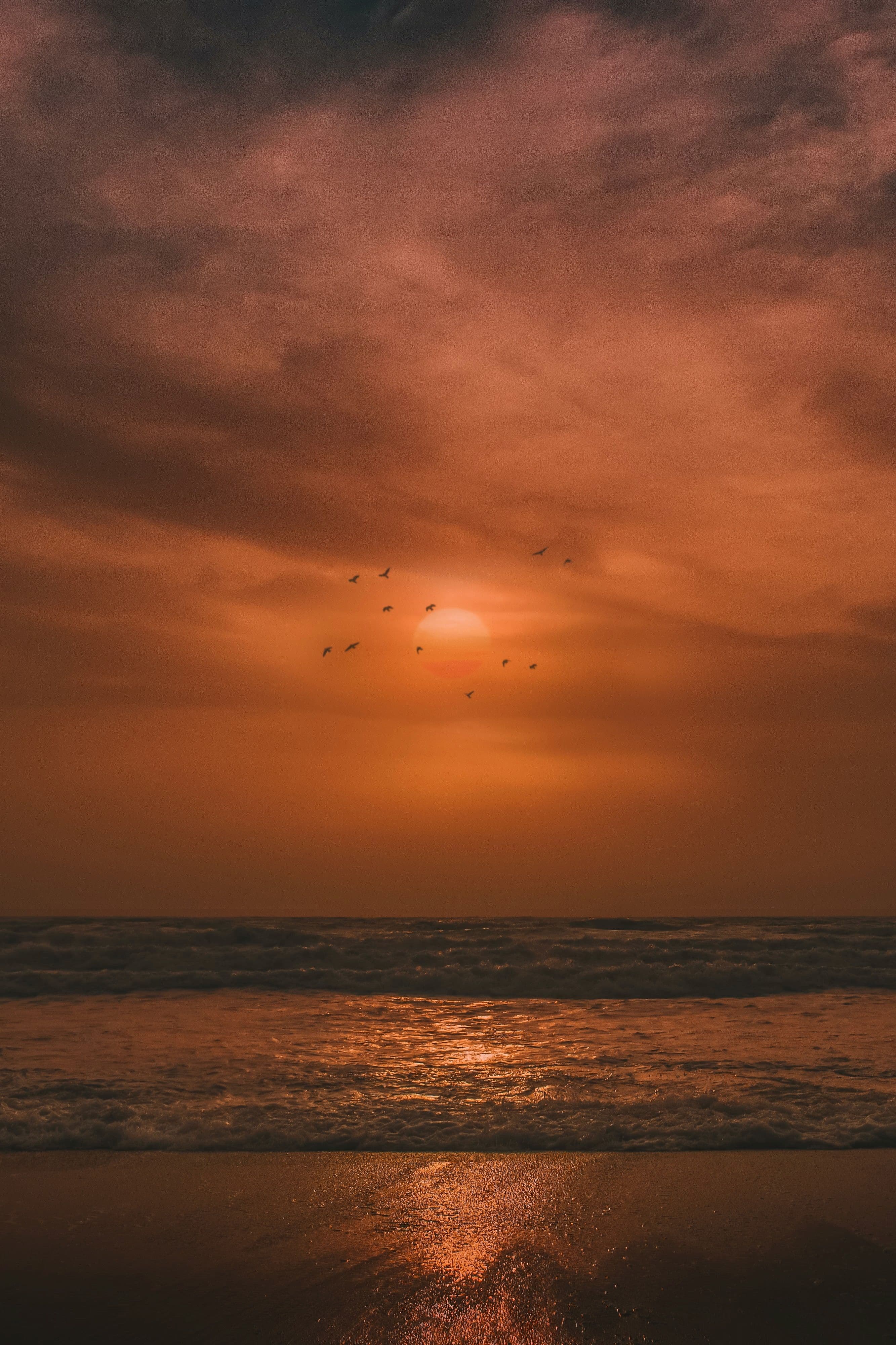 Sunset on the beach with an orange sky and birds flying.