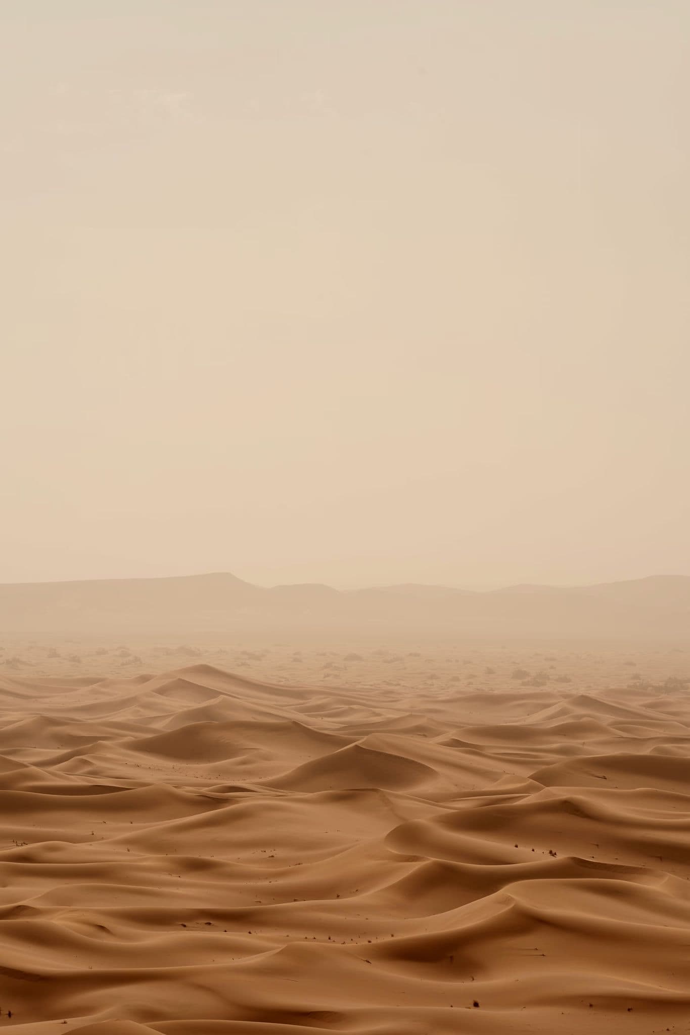 Panoramic view of a sandy landscape at sunset with a lake in the foreground.